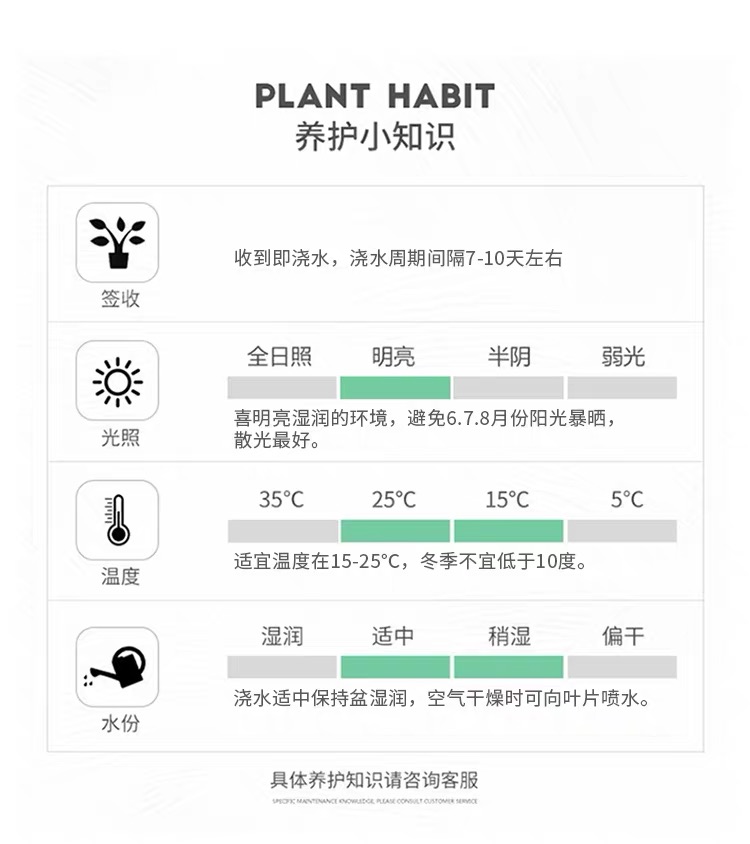 红掌12.jpg